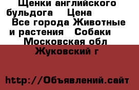 Щенки английского бульдога  › Цена ­ 60 000 - Все города Животные и растения » Собаки   . Московская обл.,Жуковский г.